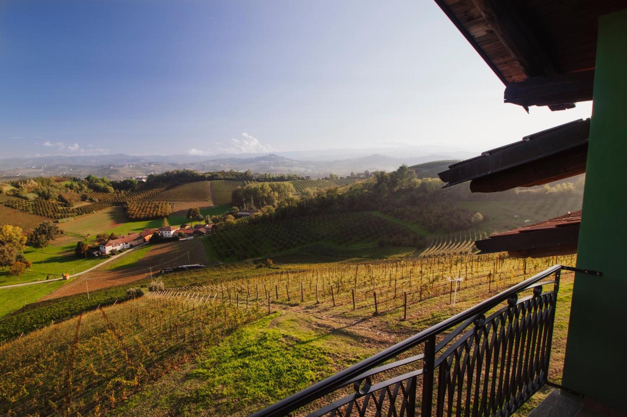 Agriturismo Cascina Reggio Castelnuovo  エクステリア 写真