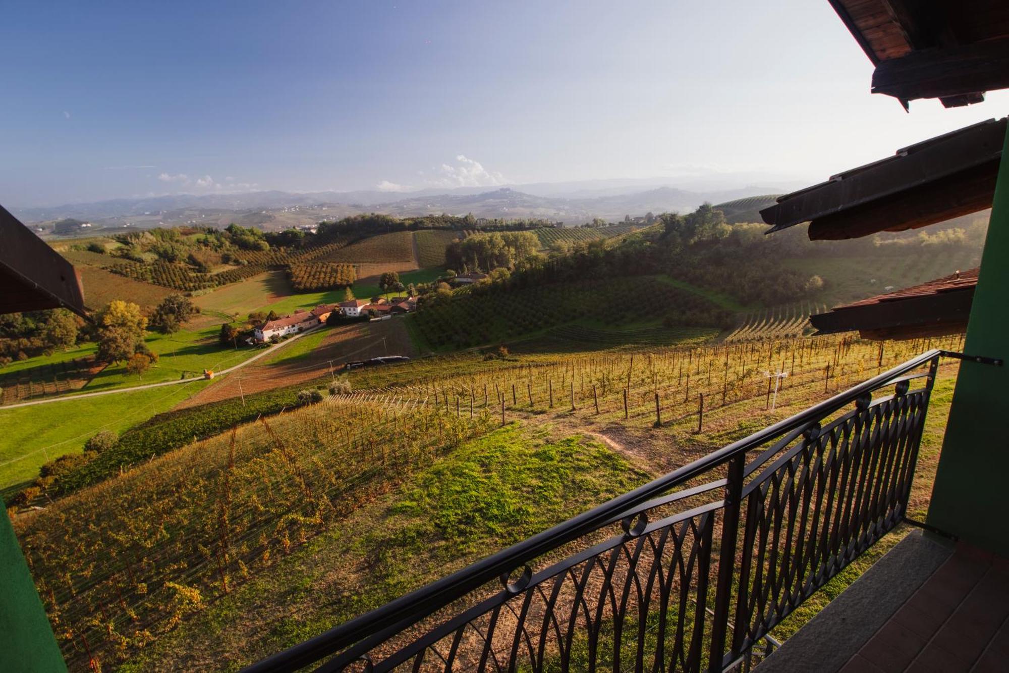 Agriturismo Cascina Reggio Castelnuovo  エクステリア 写真